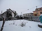 Třibřichy